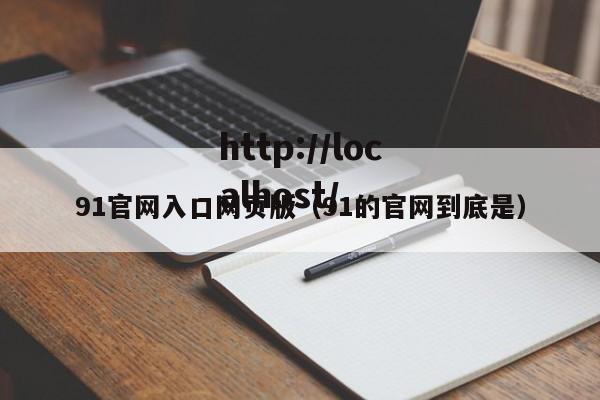 91官网入口网页版(91的官网到底是)